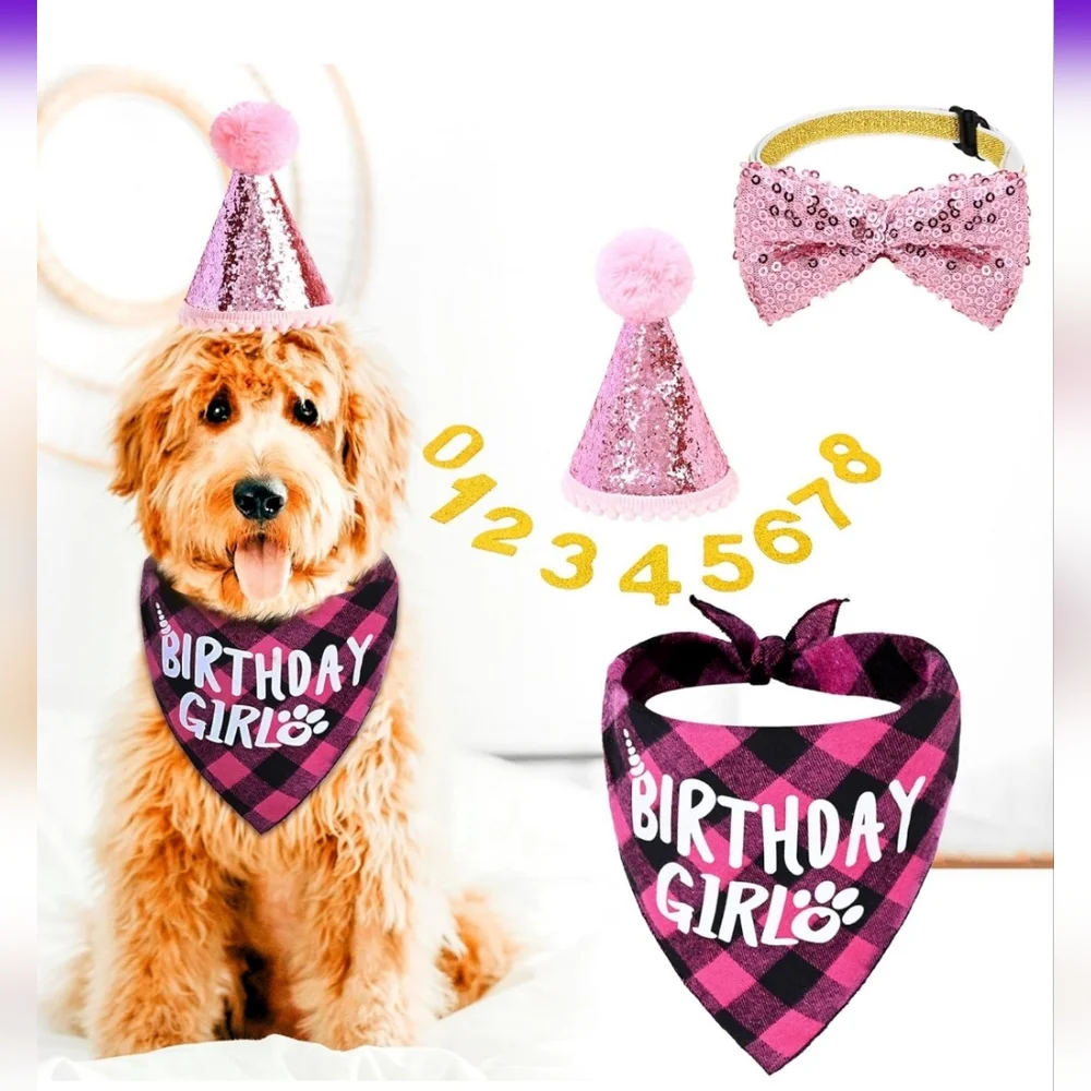 Dog Birthday Party Supplies (X-Large Pink)  Bandana, Bow NWT